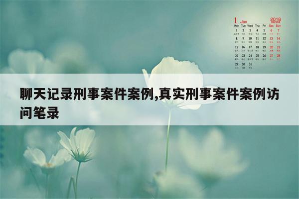 聊天记录刑事案件案例,真实刑事案件案例访问笔录