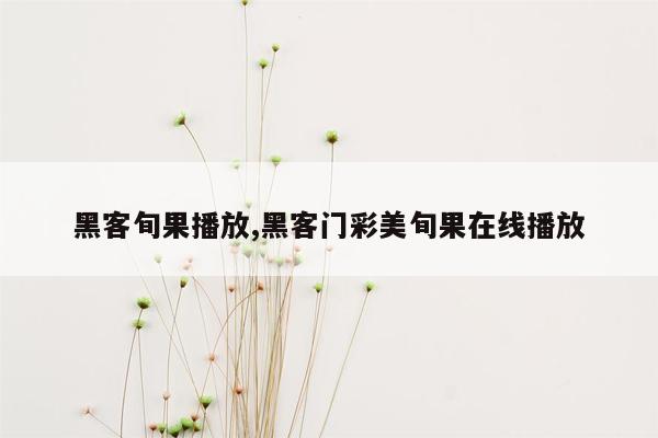 黑客旬果播放,黑客门彩美旬果在线播放