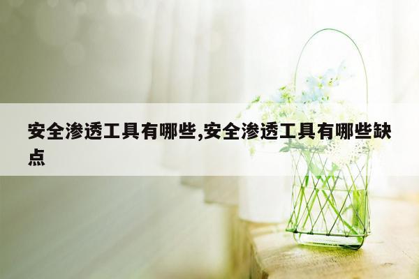 安全渗透工具有哪些,安全渗透工具有哪些缺点