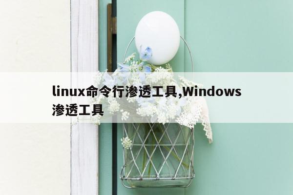 linux命令行渗透工具,Windows渗透工具