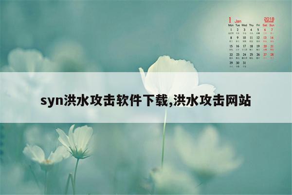 syn洪水攻击软件下载,洪水攻击网站