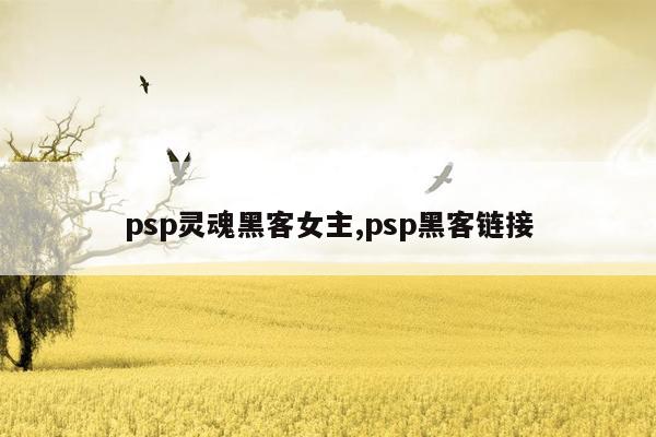 psp灵魂黑客女主,psp黑客链接