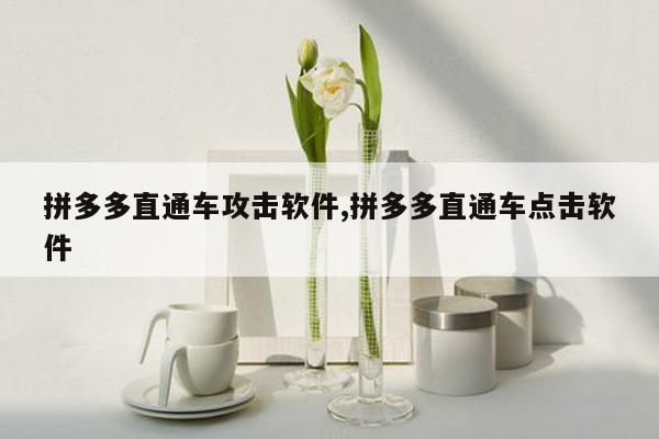 拼多多直通车攻击软件,拼多多直通车点击软件