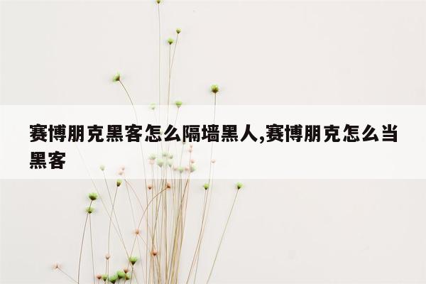 赛博朋克黑客怎么隔墙黑人,赛博朋克怎么当黑客