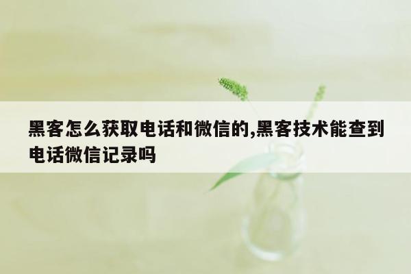 黑客怎么获取电话和微信的,黑客技术能查到电话微信记录吗