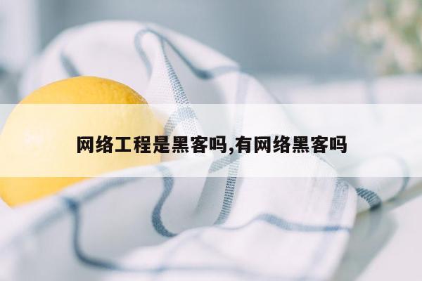 网络工程是黑客吗,有网络黑客吗