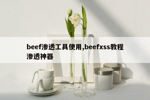 beef渗透工具使用,beefxss教程渗透神器