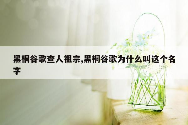 黑桐谷歌查人祖宗,黑桐谷歌为什么叫这个名字