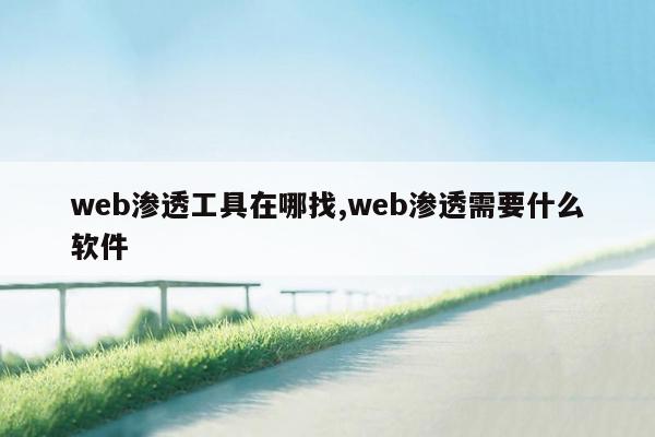 web渗透工具在哪找,web渗透需要什么软件