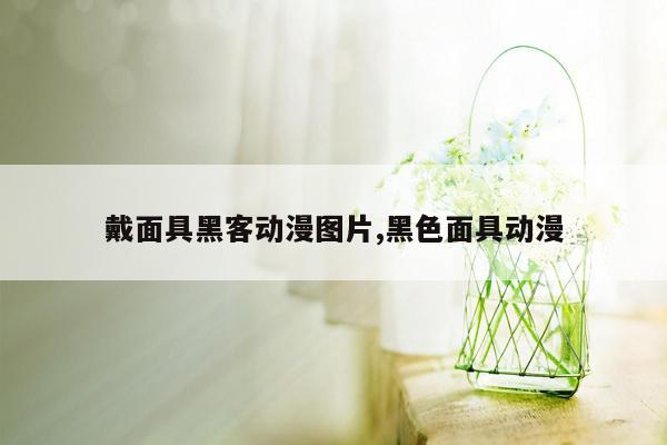 戴面具黑客动漫图片,黑色面具动漫