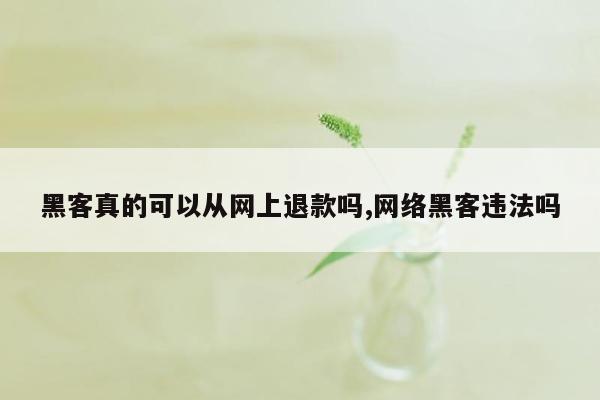 黑客真的可以从网上退款吗,网络黑客违法吗