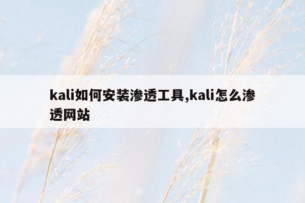 kali如何安装渗透工具,kali怎么渗透网站