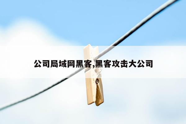 公司局域网黑客,黑客攻击大公司