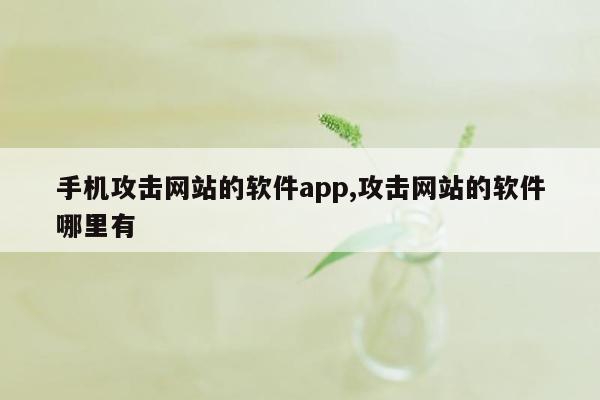 手机攻击网站的软件app,攻击网站的软件哪里有