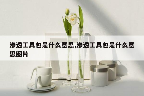 渗透工具包是什么意思,渗透工具包是什么意思图片