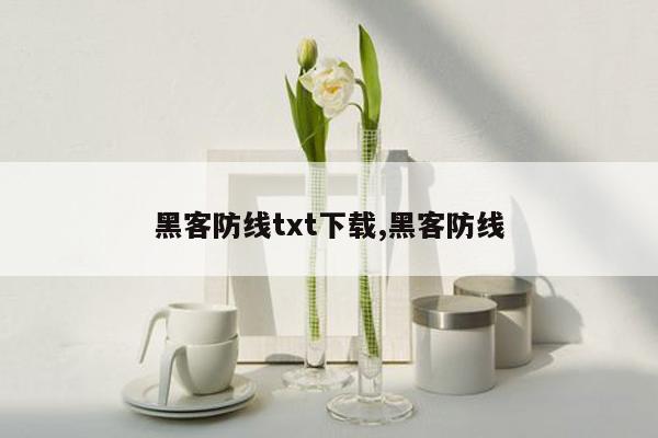 黑客防线txt下载,黑客防线