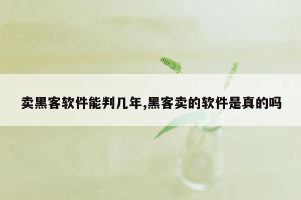 卖黑客软件能判几年,黑客卖的软件是真的吗