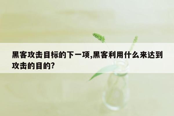 黑客攻击目标的下一项,黑客利用什么来达到攻击的目的?