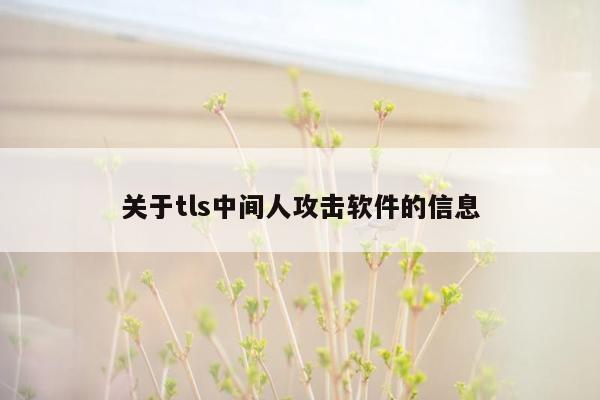 关于tls中间人攻击软件的信息