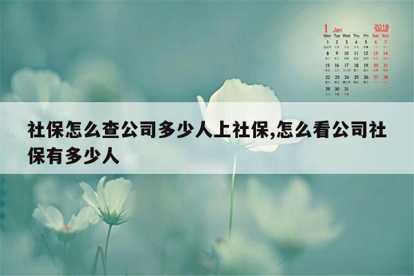 社保怎么查公司多少人上社保,怎么看公司社保有多少人