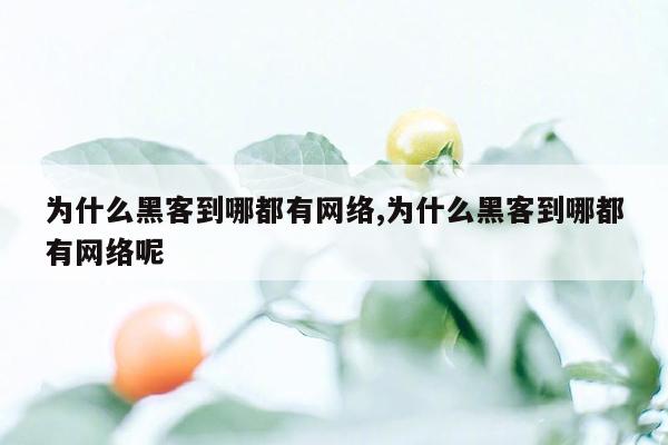 为什么黑客到哪都有网络,为什么黑客到哪都有网络呢