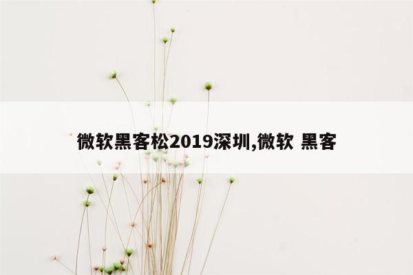 微软黑客松2019深圳,微软 黑客