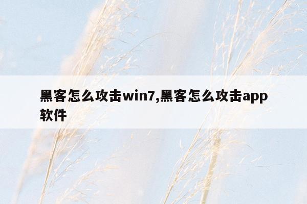 黑客怎么攻击win7,黑客怎么攻击app软件