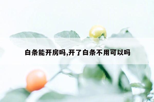 白条能开房吗,开了白条不用可以吗