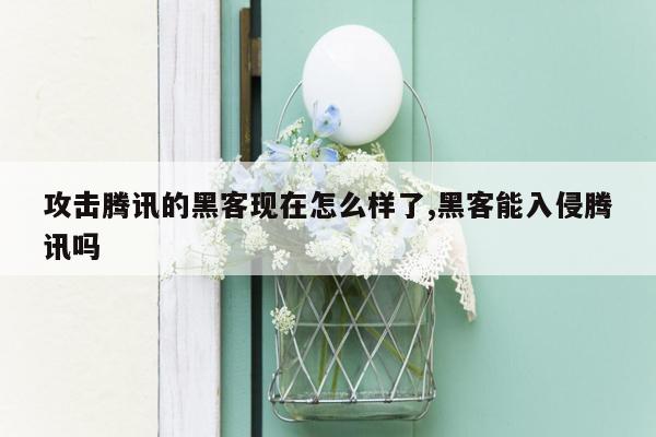 攻击腾讯的黑客现在怎么样了,黑客能入侵腾讯吗