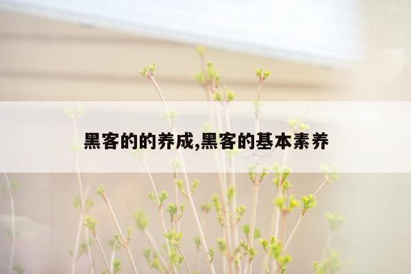 黑客的的养成,黑客的基本素养