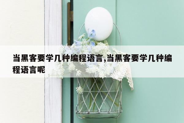 当黑客要学几种编程语言,当黑客要学几种编程语言呢