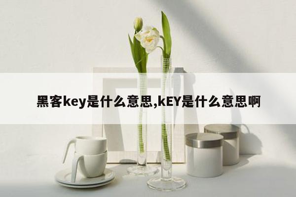 黑客key是什么意思,kEY是什么意思啊