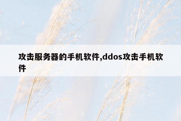 攻击服务器的手机软件,ddos攻击手机软件