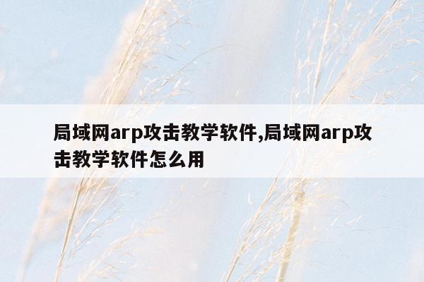 局域网arp攻击教学软件,局域网arp攻击教学软件怎么用