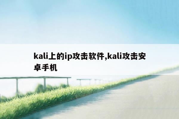 kali上的ip攻击软件,kali攻击安卓手机