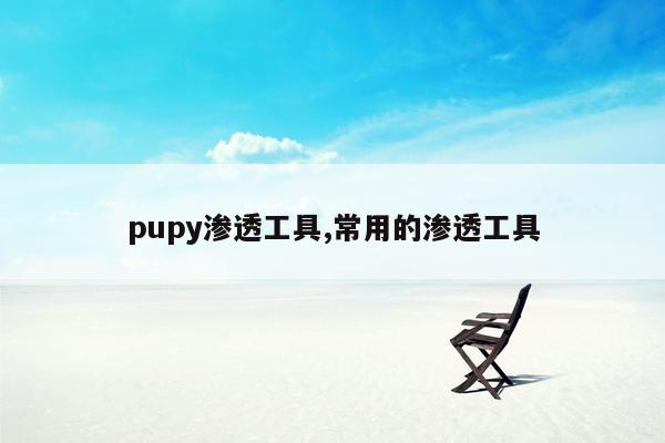 pupy渗透工具,常用的渗透工具