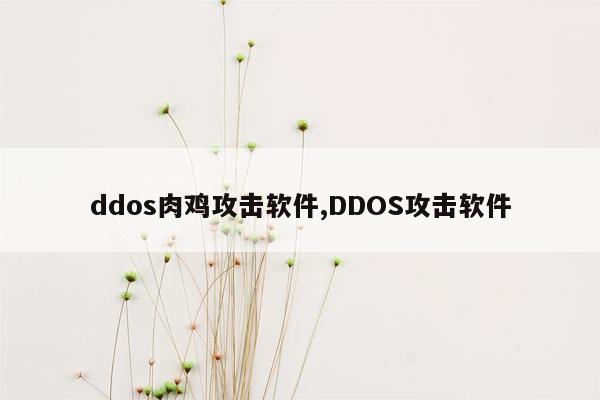 ddos肉鸡攻击软件,DDOS攻击软件