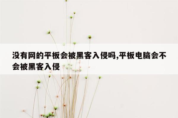 没有网的平板会被黑客入侵吗,平板电脑会不会被黑客入侵