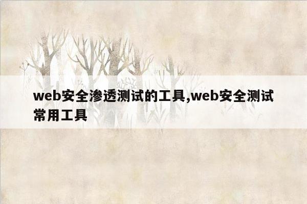 web安全渗透测试的工具,web安全测试常用工具