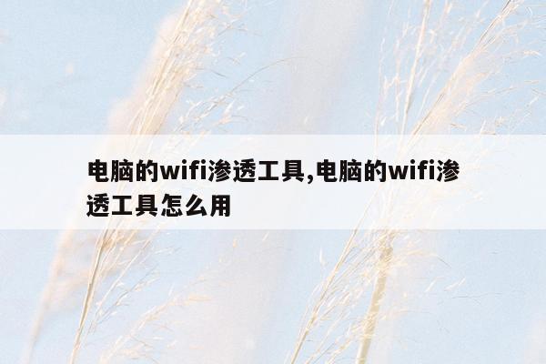 电脑的wifi渗透工具,电脑的wifi渗透工具怎么用