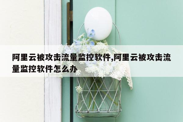 阿里云被攻击流量监控软件,阿里云被攻击流量监控软件怎么办