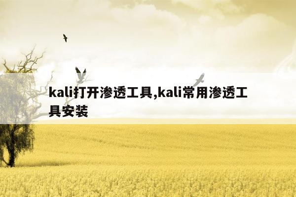 kali打开渗透工具,kali常用渗透工具安装