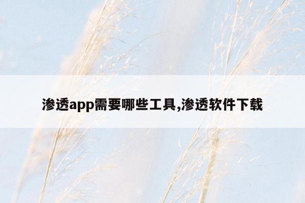 渗透app需要哪些工具,渗透软件下载