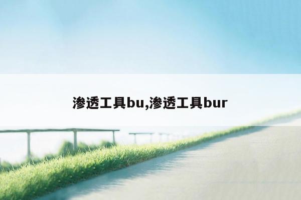 渗透工具bu,渗透工具bur