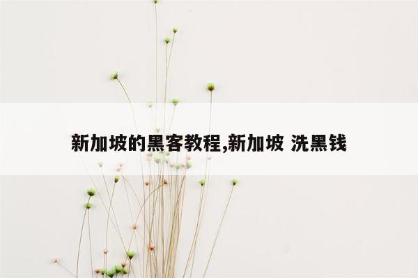 新加坡的黑客教程,新加坡 洗黑钱