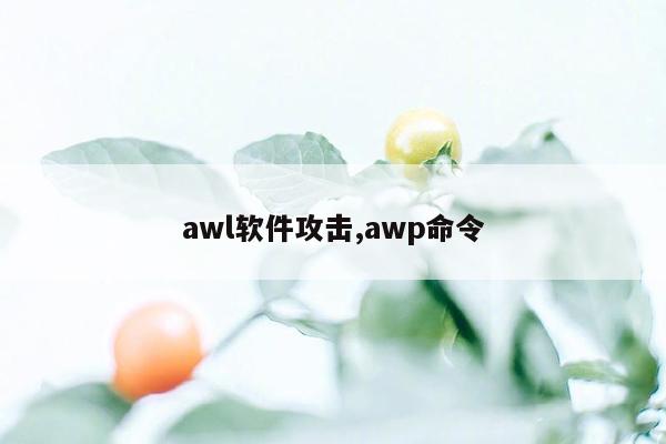 awl软件攻击,awp命令