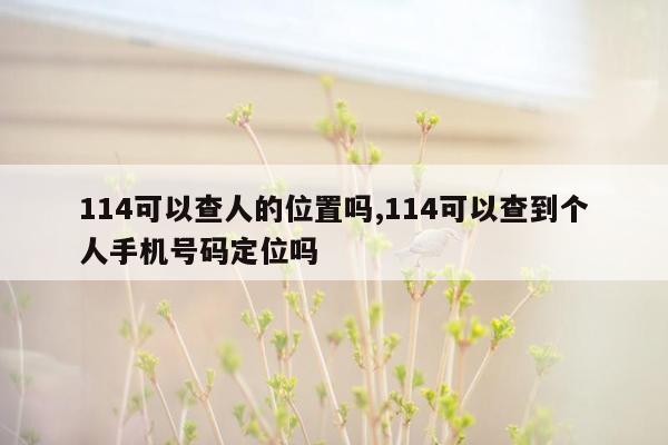 114可以查人的位置吗,114可以查到个人手机号码定位吗