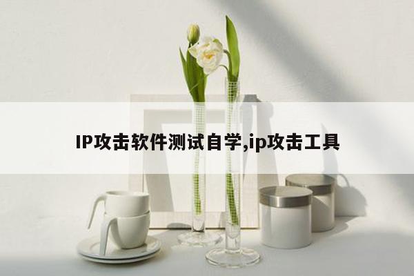 IP攻击软件测试自学,ip攻击工具