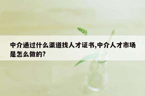 中介通过什么渠道找人才证书,中介人才市场是怎么做的?