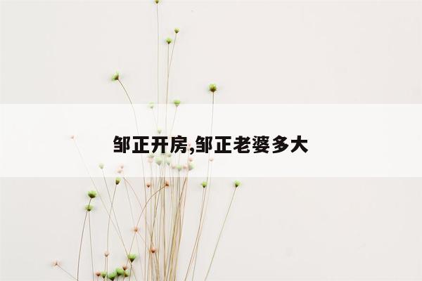 邹正开房,邹正老婆多大